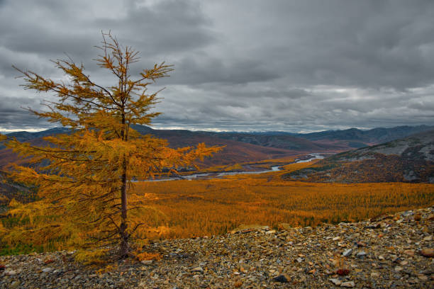 istock Autumn mountains in the permafrost region 1448795467