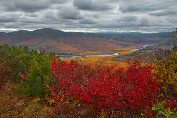 istock Autumn mountains in the permafrost region 1448795468
