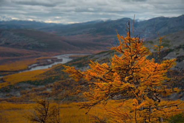 istock Autumn mountains in the permafrost region 1448795610