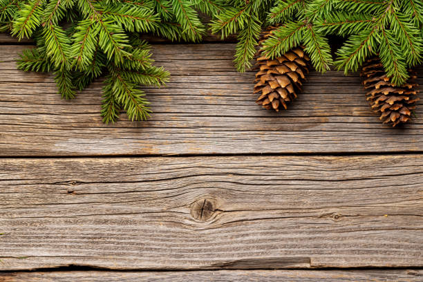 istock Christmas Fir tree branches and pine cones on wood 1448799761