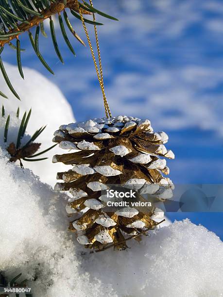 Pine Cone Stockfoto und mehr Bilder von Abgeschiedenheit - Abgeschiedenheit, Ast - Pflanzenbestandteil, Baum