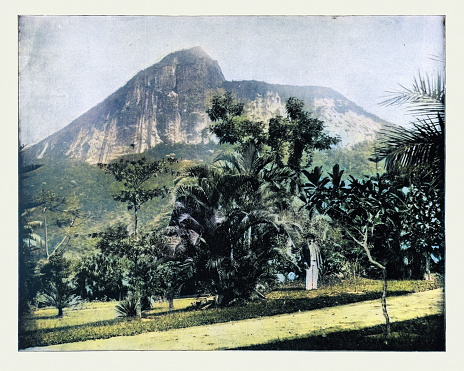Antique photograph, colorized, of Botanical gardens and Mount Corcovado, Rio de Janeiro, Brazil 19th Century