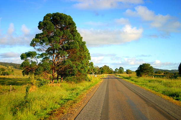 noosa, sunshine coast, australien - coastline noosa heads australia landscape stock-fotos und bilder