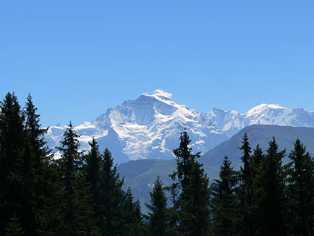 alpi svizzere - jungfrau region foto e immagini stock