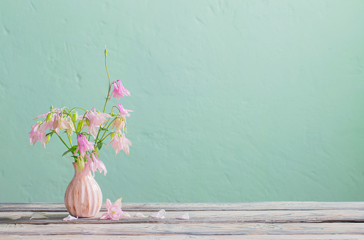 pink flowers in pink vase  on background green wall