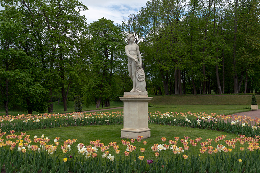 Gatchina, St. Petersburg, Russia, 06.05.2022: Statue of Young Mars in the Lower Dutch Garden of Gatchina Park on an summer sunny morning
