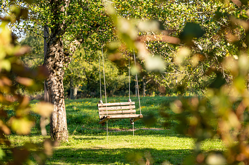 Garden old wooden swing in the backyard of a rural house.
