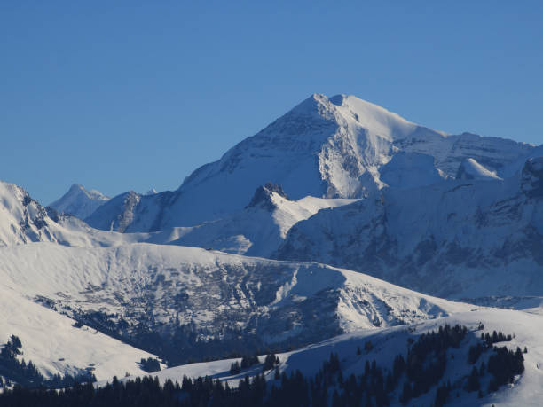 gross loner, high mountain in the bernese oberland. - wildstrubel imagens e fotografias de stock