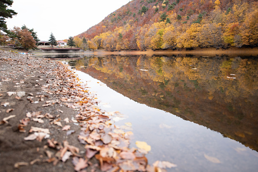 Beautiful autumn colors of Forest House  and lake reflection in Boraboy Lake and like wallpaper