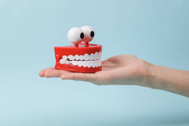 Funny toy clockwork jumping teeth with eyes on palm hand, blue background. stock photo