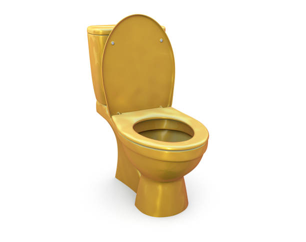 istock Golden Toilet bowl 1448822345