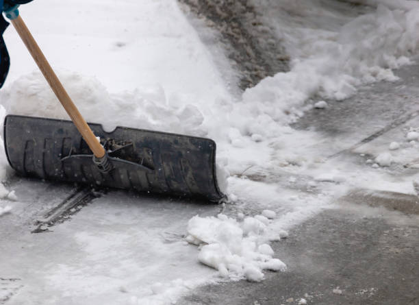 istock Shoveling snow off the driveway 1448825710