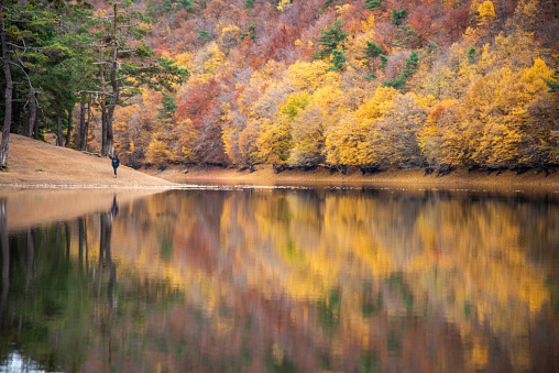 Beautiful autumn colors. A girl by the lake in autumn and lake reflection in Boraboy Lake and like wallpaper