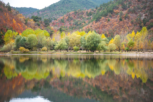 Beautiful autumn colors of Forest House  and lake reflection in Boraboy Lake and like wallpaper