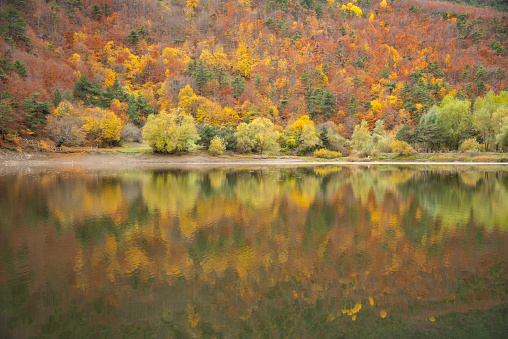 Beautiful autumn colors of Forest House  and lake reflection in Boraboy Lake and like wallpaper