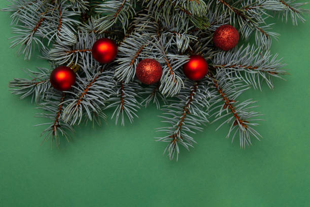 istock Festive background from christmas tree branches with red balls.Negative space for text. 1448835512