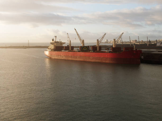 istock bulk ship in port elizabeth harbour 1448835666