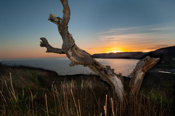 istock Sunset over Charmouth hills in Dorset 1448837425