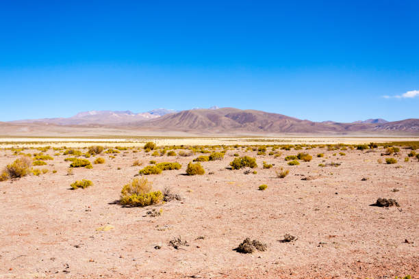 istock Bolivian mountains landscape,Bolivia 1448841832