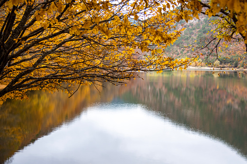 Beautiful autumn colors of Forest House  and lake reflection in Boraboy Lake and like wallpaper