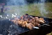 Delicious and juicy barbecue fried on coals in nature during a picnic.