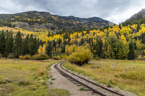 Railroad tracks winding through a Rocky Mountain Meadow