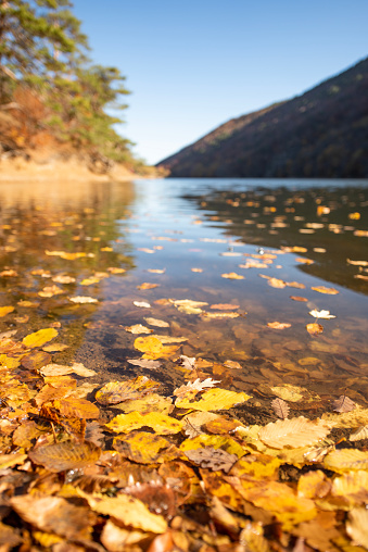 Autumn Colour Reflections in Blea Tarn in the Lake District, England