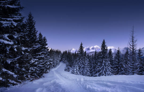 istock Mountain landscape just after sunset 1448844378