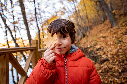 Beautiful autumn colors of young boy holding the yellow leaf