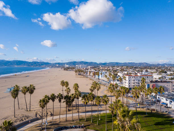 vista aérea da praia de veneza - palm tree california city of los angeles venice beach - fotografias e filmes do acervo
