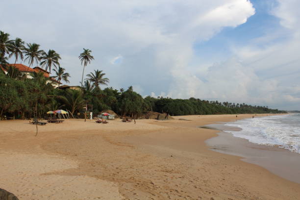 istock Exotic tropical beautiful sand beach Sri Lanka 1448858963