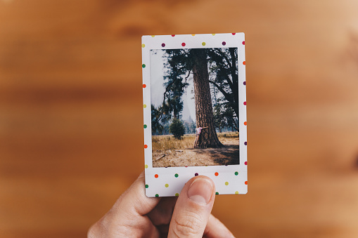 Woman holding an instant photo from a trip. Travel memories concept. On a photo woman hugs a tree