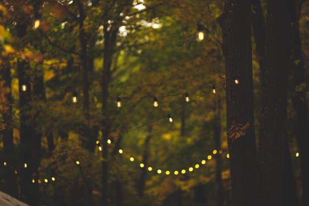 istock Selective focus of string lights hanging from trees in a garden, creating a festive atmosphere 1448864156