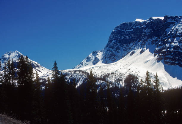 istock Banff National Park - Icefields Parkway - High Country Snow - 1985 1448865751