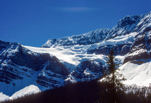 istock Banff National Park - Icefields Parkway - Snow-Laden Mountains - 1985 1448865859