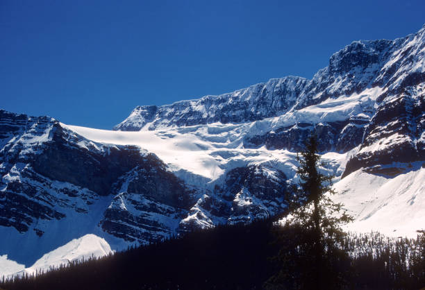 Banff National Park - Icefields Parkway - Crowfoot Glacier - 1985. Scanned from Kodachrome 25 slide.