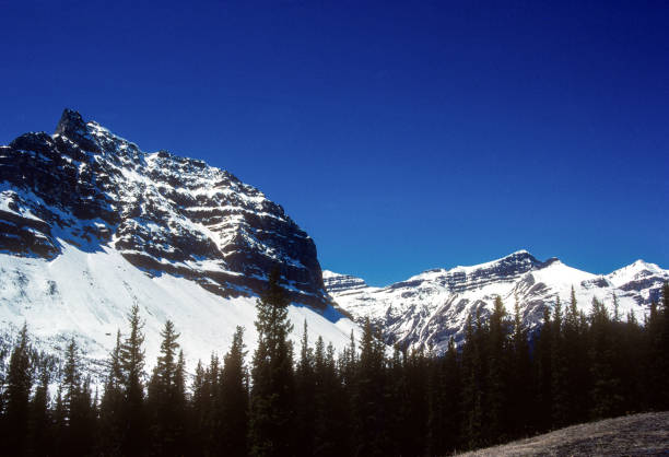 istock Banff National Park - Icefields Parkway - Snow Covered in May - 1985 1448866702
