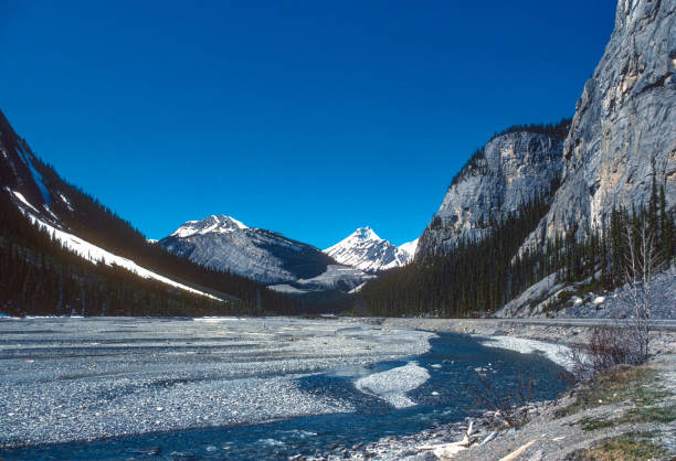 istock Banff National Park - Icefields Parkway - Valley & Road - 1985 1448866788
