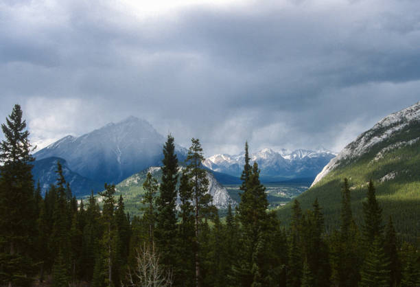 istock Banff National Park - Bow Valley Cloudy Morning - 1985 1448866861
