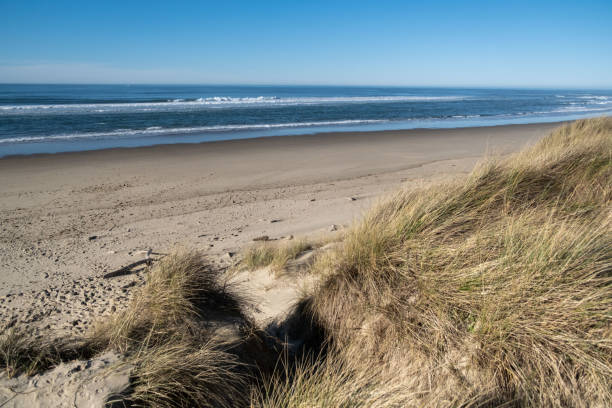 istock Breezy day along the Oregon Coast 1448867673