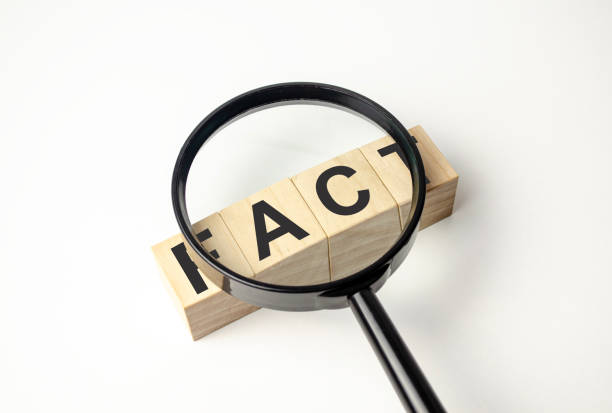 istock FACT Word block fine and magnifying glass on grey background 1448867849