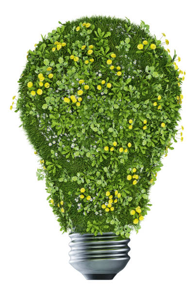 istock Bulb made of grass and flowers. Render 3D 1448876767