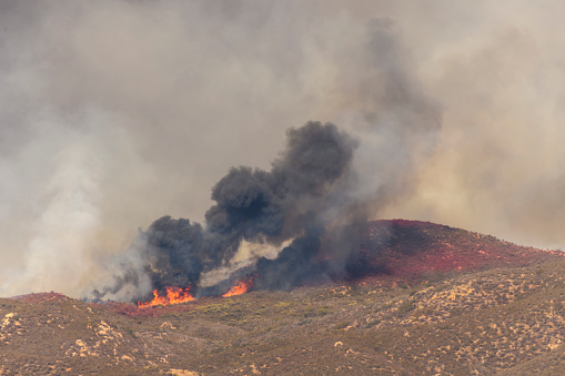 Background image of large smoke from wildfire