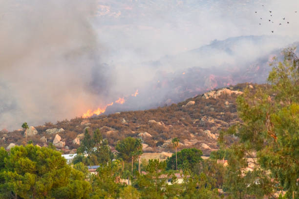 Landscape backlit by smoke from an out of control wildfire in the Santa Cruz Mountains.Taken in Santa Cruz California, USA