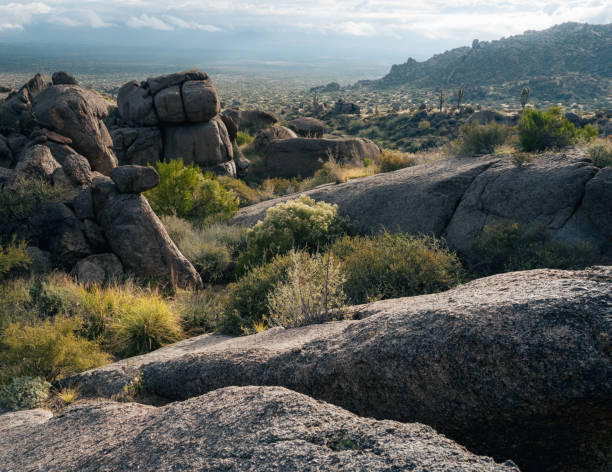 istock Massive boulders illuminated by morning light at Marcus Landslide in The McDowell Mountains 1448889327