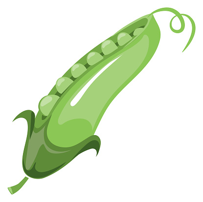 Free download of Green Food Cartoon Plant Peas Pea Vegetable Fresh Vector  Graphic