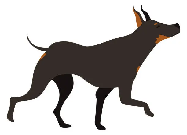 Vector illustration of Running dobermann icon. Cartoon black dog breed