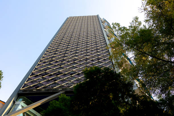istock Upward view of Skyscrapers 1448908154