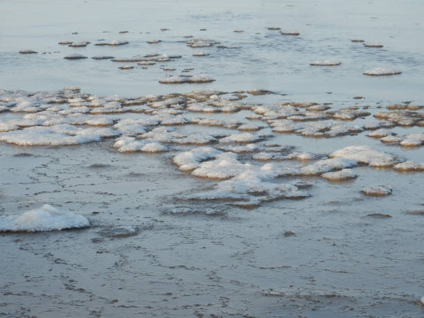 istock floating ice on the winter Baltic Sea on a sunny day 1448912363