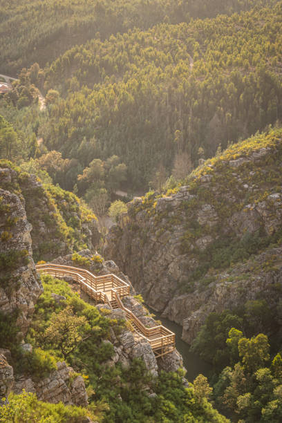 istock View from Cerro da Candosa pathways, Gois - Portugal. 1448917608